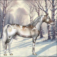Horse Color:White Spotted Liver Red Onyx Mushroom Rabicano 