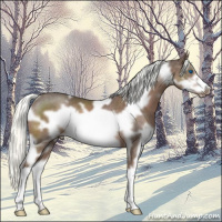Horse Color:White Spotted Liver Chestnut Mushroom Splash Frame Rabicano