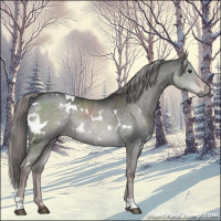 Horse Color:Platinum White Spotted Liver Red Dun 