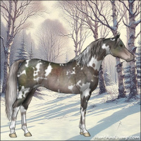 Horse Color:Platinum White Spotted Liver Chestnut Rabicano 