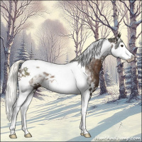 Horse Color:White Spotted Liver Chestnut Mushroom Splash Tobiano 