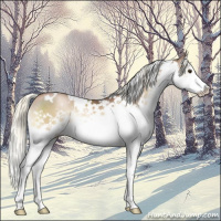 Horse Color:White Spotted Liver Red Onyx Pearl Mushroom Splash 