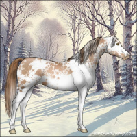 Horse Color:White Spotted Liver Chestnut Pearl 
