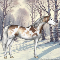 Horse Color:White Spotted Liver Red Onyx Mushroom Sabino Splash 
