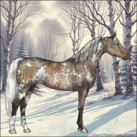 Horse Color:White Spotted Liver Red Dun Mushroom Brindle 