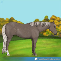 Horse Color:Silver Black 