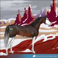 Horse Color:Brown Splash 