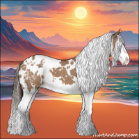 Horse Color:White Spotted Liver Red Dun Splash Appaloosa 
