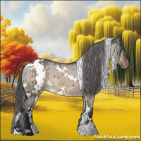 Horse Color:White Spotted Brown Dun Appaloosa Brindle 