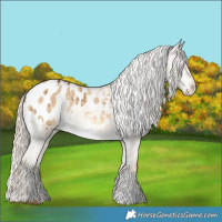 Horse Color:White Spotted Chocolate Palomino Dun Blanket Brindle 