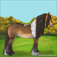 Horse Color:Buckskin Tobiano 