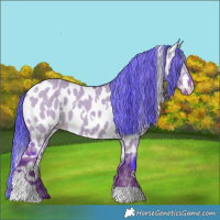 Horse Color:Watercolor White Spotted Liver Red Dun Appaloosa 