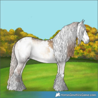 Horse Color:Gray White Spotted Chocolate Palomino Onyx Brindle 