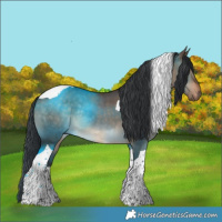 Horse Color:Brown Dun Tobiano 