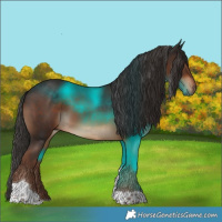 Horse Color:Liver Chestnut Tobiano 