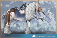 Horse Color:Liver Chestnut Tobiano  and Liver Red Dun Tobiano Appaloosa 