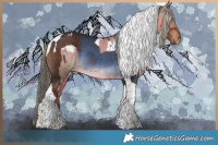 Horse Color:Liver Chestnut Tobiano  and Liver Red Dun Tobiano Appaloosa 