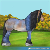 Horse Color:Bay Dun Tobiano 