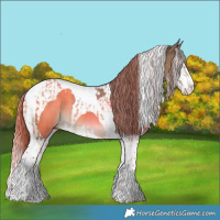Horse Color:Liver Red Dun Splash Tobiano  and Liver Red Dun Splash Tobiano 