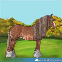 Horse Color:Liver Red Dun Rabicano and Chestnut Rabicano