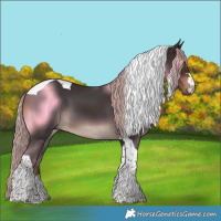 Horse Color:Liver Chestnut Tobiano 