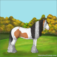 Horse Color:Bay Splash Tobiano 
