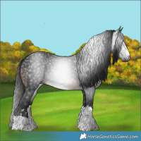 Horse Color:Gray Brown 