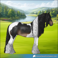 Horse Color:Gray Brown Tobiano 