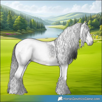 Horse Color:Gray Brown Tobiano 