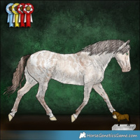 Horse Color:Amber Champagne Roan Dun  and Amber Champagne Roan Dun Blanket 