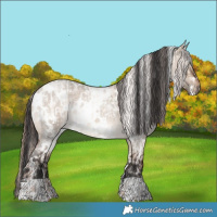 Horse Color:White Spotted Gold Champagne Ice Roan Dun Appaloosa  and White Spotted Brown Roan Dun 