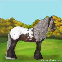Horse Color:Silver Brown Appaloosa 