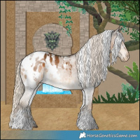 Horse Color:White Spotted Chocolate Palomino Blanket Rabicano