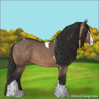 Horse Color:Bay Dun Splash Tobiano 
