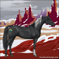 Horse Color:Black Tobiano 