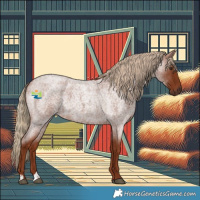 Horse Color:Red Roan 
