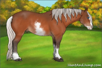 Horse Color:White Spotted Silver Bay Splash 