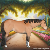 Horse Color:Bay Tobiano 