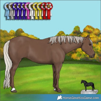 Horse Color:Silver Black 
