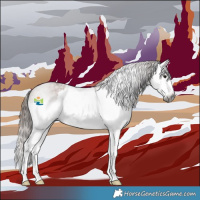 Horse Color:Gray Bay Splash Appaloosa 