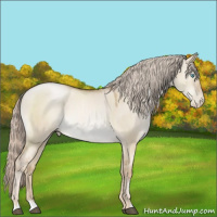 Horse Color:Chocolate Palomino Pearl Dun 