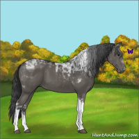 Horse Color:Black Tobiano 