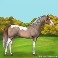 Horse Color:Red Roan Splash Tobiano 