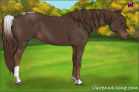 Horse Color:Liver Chestnut Tobiano 