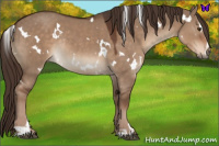 Horse Color:White Spotted Liver Red Dun Sabino Rabicano