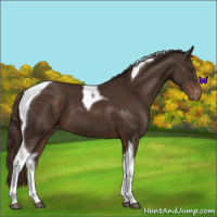 Horse Color:Liver Chestnut Tobiano Varnish 
