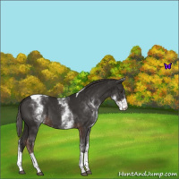 Horse Color:White Spotted Liver Chestnut Tobiano 