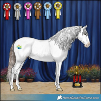 Horse Color:Bay Dun Sabino Splash Appaloosa 