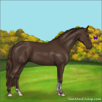 Horse Color:Liver Chestnut Tobiano 