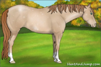 Horse Color:Smoky Black Pearl 